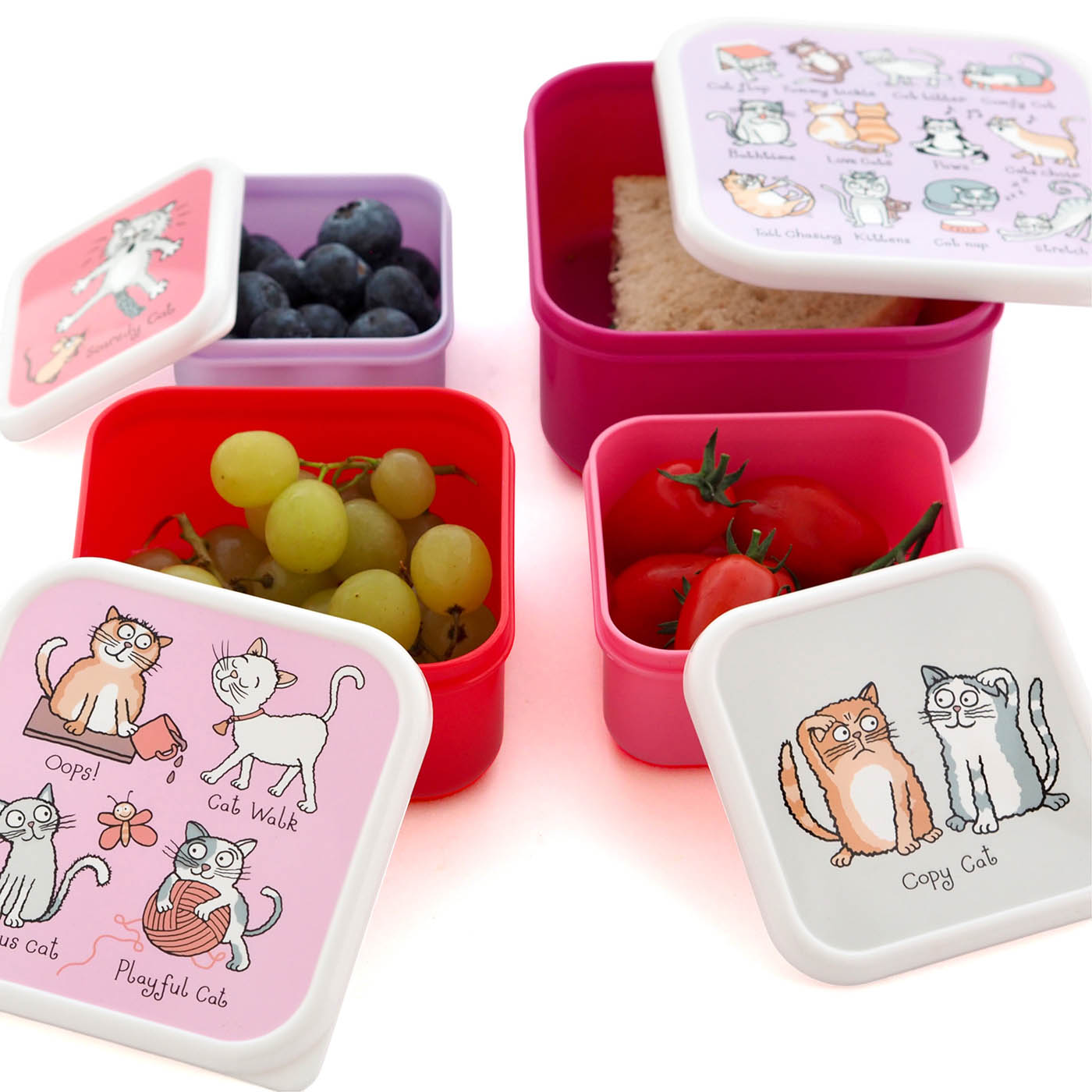 tyrrell_katz_cats_snackboxes